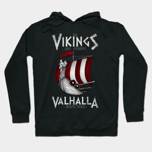 Vikings are coming Hoodie